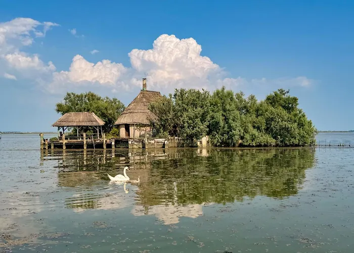 Apartment In 33368 *